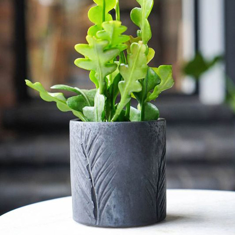 Kew Eclectic Orangery Handthrown Palm Planter D10cm, Basalt
